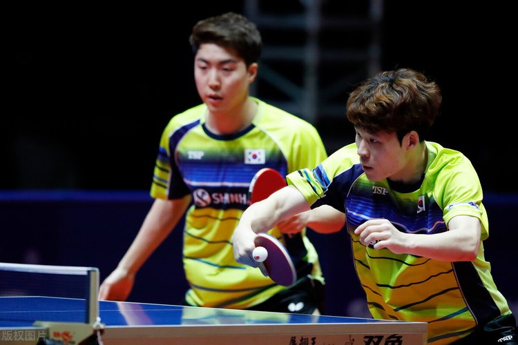 王楚钦的独 王楚钦的独